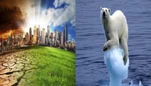 NM News Biodiversity Climate Change