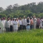 उजवा में ग्रीष्मकालीन फसलों की उन्नत खेती पर संगोष्ठी