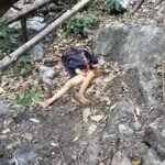 अल्मोड़ा में बाघ का आतंक, मौत से दहशत का माहौल