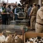 अवैध वन्यजीव कारोबार का भंडाफोड़!